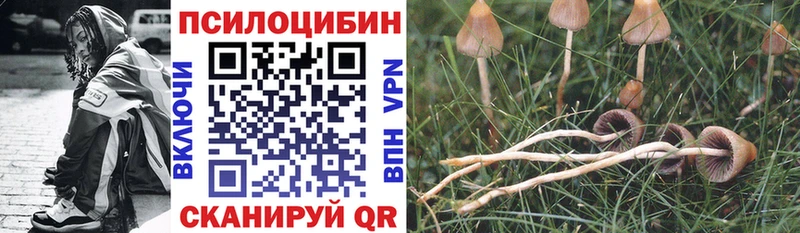 Галлюциногенные грибы прущие грибы  Дзержинск 
