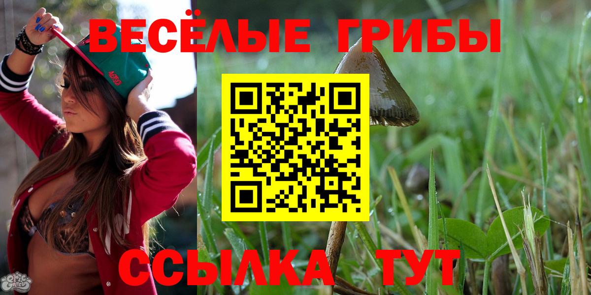 Псилоцибиновые грибы Cubensis  Вход с VPN  Дзержинск  Галлюциногенные грибы ЛСД 