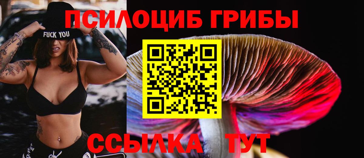 Галлюциногенные грибы Psilocybe Дзержинск